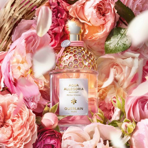 GUERLAIN-Aqua Allegoria Harvest - Rosa Rossa - Eau de Toilette GUERLAIN-Aqua Allegoria Harvest - Rosa Rossa - Eau de Toilette